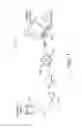 Fig. 02 - Substrates Comprising Frothed Benefit Agents and the Method of Making the Same