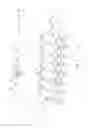 Fig. 03 - Process for producing a web substrate having indicia disposed thereon and elastic-like behavior imparted thereto