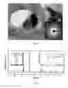 Fig. 03 - NANOPARTICLES AND METHOD OF MAKING NANOPARTICLES