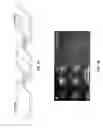 Fig. 02 - Thin film compositions and methods