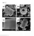 Fig. 03 - Method for producing silicon-based negative electrode active material, negative electrode active material for lithium secondary battery, and lithium secondary battery comprising same