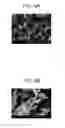 Fig. 04 - METHOD FOR PRODUCING POSITIVE ELECTRODE ACTIVE MATERIAL FOR NONAQUEOUS SECONDARY BATTERIES, POSITIVE ELECTRODE FOR NONAQUEOUS SECONDARY BATTERIES, AND NONAQUEOUS SECONDARY BATTERY