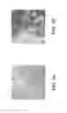 Fig. 02 - Solid polymer electrolyte composition for lithium ion battery