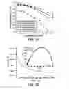 Fig. 03 - Solid polymer electrolyte composition for lithium ion battery