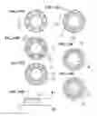Fig. 17 - Method for producing crystals comprising fullerene molecules and fullerene nanowhisker/nanofiber nanotubes