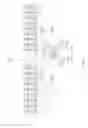 Fig. 48 - Intra-oral light-therapy apparatuses and methods for their use