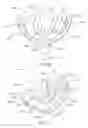 Fig. 65 - Intra-oral light-therapy apparatuses and methods for their use