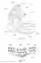 Fig. 67 - Intra-oral light-therapy apparatuses and methods for their use