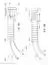 Fig. 18 - Apparatus and methods for cleaning teeth and gingival pockets