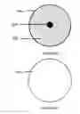Fig. 07 - System and method for extended spectrum ultrasound training using animate and inanimate training objects