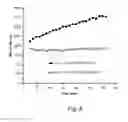 Fig. 09 - ASSAYS FOR DETECTING GLUCOSIDASE ACTIVITY