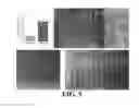 Fig. 07 - Microfluidic device, system, and method for tracking single cells and single cell lineages