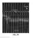 Fig. 24 - Microfluidic device, system, and method for tracking single cells and single cell lineages