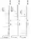 Fig. 06 - Mass spectrometry quantitation of P450 isoforms in hepatocytes