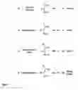 Fig. 02 - Production of volatile dienes by enzymatic dehydration of light alkenols