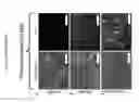 Fig. 08 - Lineage reprogramming to induced cardiac progenitor cells (iCPC) by defined factors