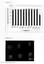 Fig. 07 - Hydrogen cyanide-based polymer surface coatings and hydrogels