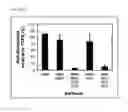 Fig. 08 - Hydrogen cyanide-based polymer surface coatings and hydrogels