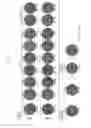 Fig. 02 - Method of producing induced pluripotent stem cells using inhibitors of P53