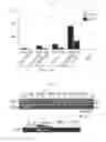 Fig. 10 - Method of producing induced pluripotent stem cells using inhibitors of P53