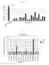 Fig. 15 - Method of producing induced pluripotent stem cells using inhibitors of P53