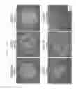 Fig. 23 - Method of producing induced pluripotent stem cells using inhibitors of P53