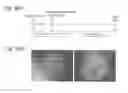 Fig. 31 - Method of producing induced pluripotent stem cells using inhibitors of P53