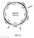 Fig. 16 - MICROBES WITH CONTROLLED ADHESIVE PROPERTIES