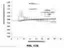 Fig. 33 - METHODS FOR DETECTING AMYLOID BETA AMYLOIDOSIS