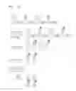 Fig. 04 - TARGET AFFINITY MATERIAL INCLUDING BIODEGRADABLE POLYMER AND USE THEREOF