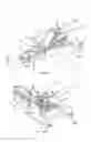 Fig. 02 - WATERCRAFT