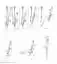 Fig. 02 - Apparatus and method for removing the entrails from the abdominal cavity of poultry