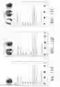 Fig. 32 - VOICE CONVERSATIONS IN A UNIFIED AND CONSISTENT MULTIMODAL COMMUNICATION FRAMEWORK