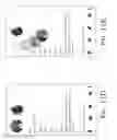 Fig. 33 - VOICE CONVERSATIONS IN A UNIFIED AND CONSISTENT MULTIMODAL COMMUNICATION FRAMEWORK