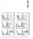 Fig. 70 - VOICE CONVERSATIONS IN A UNIFIED AND CONSISTENT MULTIMODAL COMMUNICATION FRAMEWORK