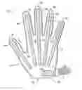 Fig. 01 - ATHLETIC GLOVE WITH HAND-EXERCISING FEATURES