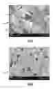 Fig. 04 - Carbon fiber-reinforced article and method therefor