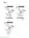 Fig. 02 - SEPARATING AGENT FOR OPTICAL ISOMER