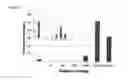 Fig. 07 - SEQUENCE CAPTURE METHOD USING SPECIALIZED CAPTURE PROBES (HEATSEQ)