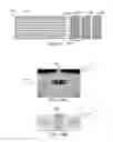Fig. 09 - Integrated device with external light source for probing detecting and analyzing molecules