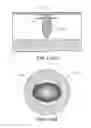 Fig. 52 - Integrated device with external light source for probing detecting and analyzing molecules