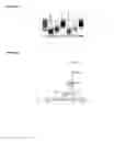 Fig. 28 - METHODS OF QUANTIFYING OF NUCLEIC ACIDS CAPTURED ON A SOLID SUPPORT