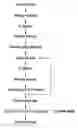 Fig. 01 - MULTIPLEXED ASSAY METHOD FOR LUNG CANCER CLASSIFICATION