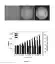 Fig. 09 - Detection of unlabeled nucleic acids by changing solubility of surface-associating probes