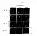 Fig. 06 - GENETIC MARKERS ASSOCIATED WITH INTELLECTUAL DISABILITY