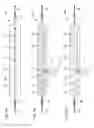 Fig. 02 - Longitudinal assay