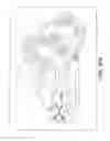 Fig. 48 - Self-contained biological assay apparatus, methods, and applications