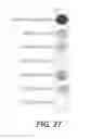 Fig. 69 - Self-contained biological assay apparatus, methods, and applications