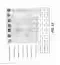 Fig. 70 - Self-contained biological assay apparatus, methods, and applications