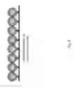 Fig. 10 - Solid-phase clonal amplification and related methods
